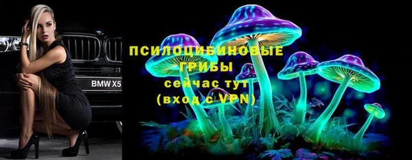 индика Елизово