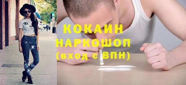стафф Ладушкин