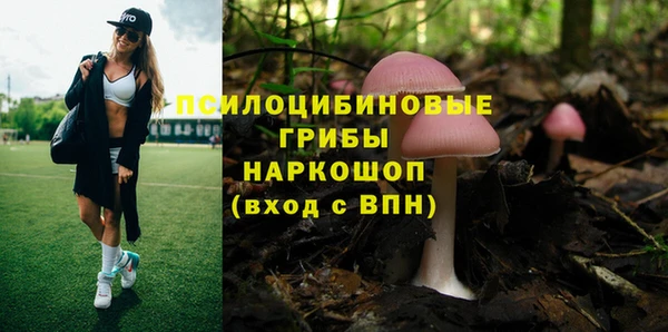 стафф Ладушкин
