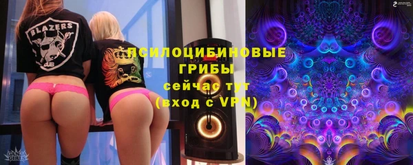 МДПВ Лиски