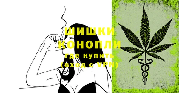 стафф Ладушкин